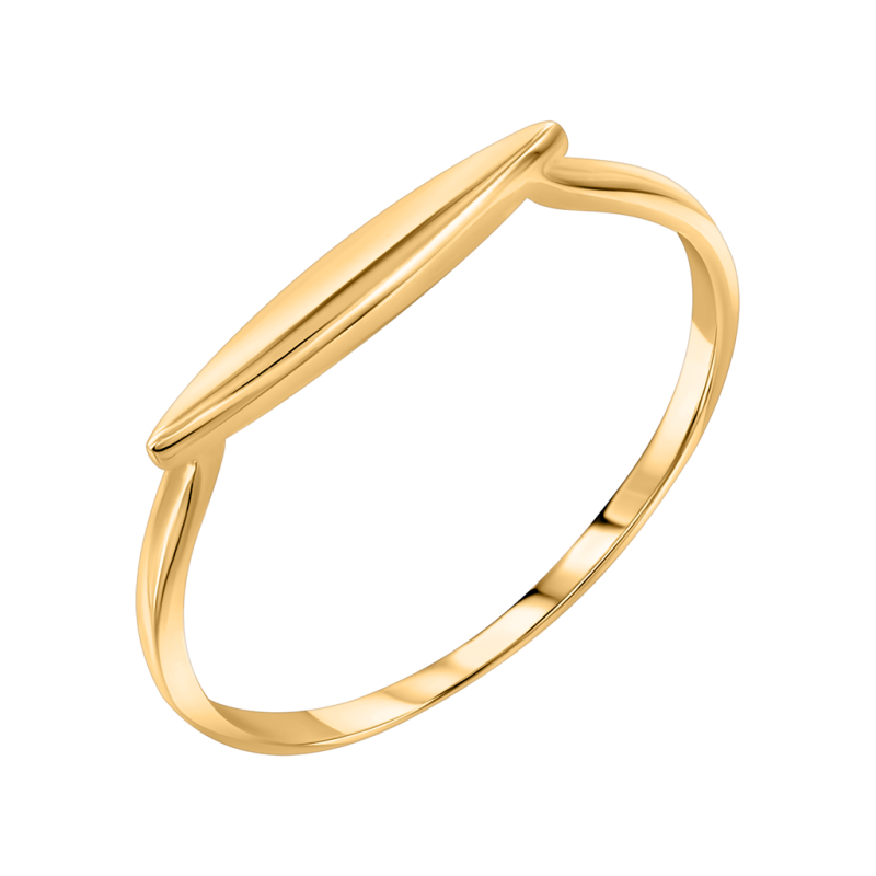 Damenring aus Gelbgold 585