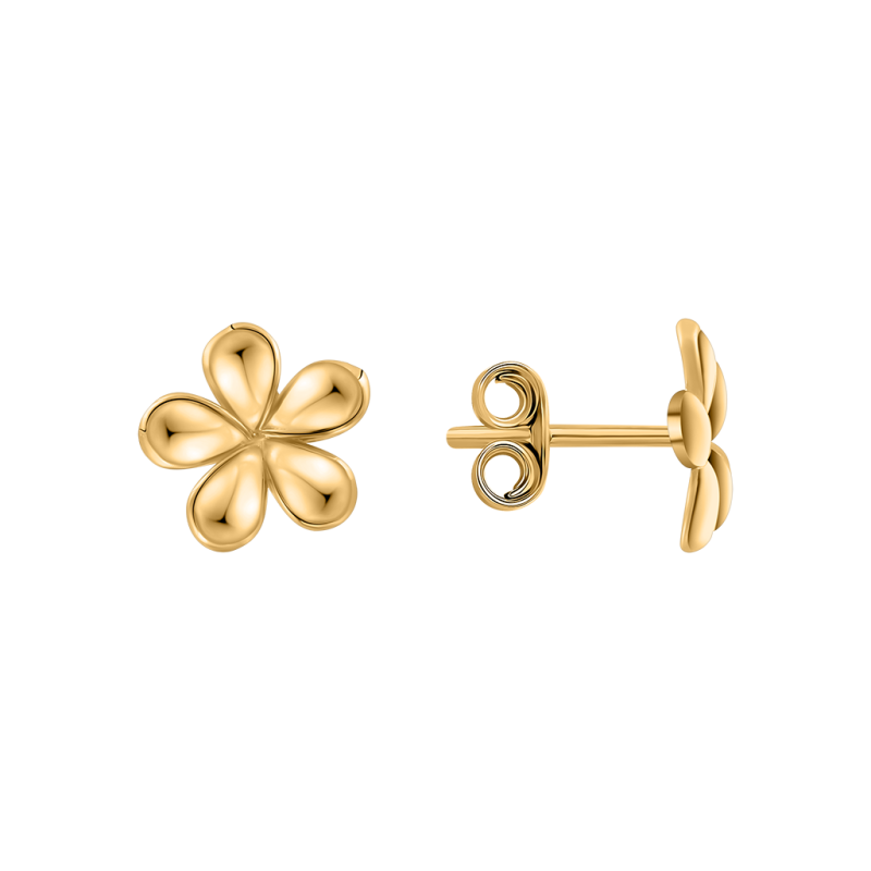 Ohrstecker aus Gelbgold 585