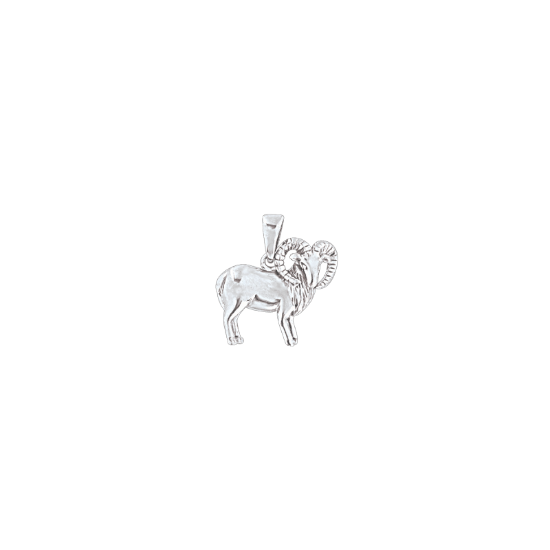 Sternzeichen Anhänger aus Silber 925