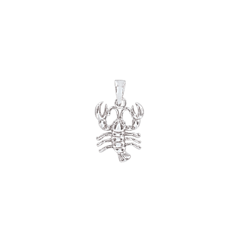 Sternzeichen Anhänger aus Silber 925