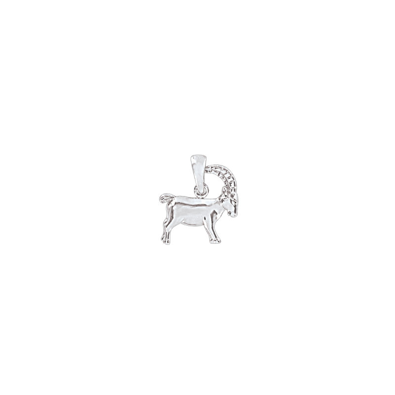 Sternzeichen Anhänger aus Silber 925