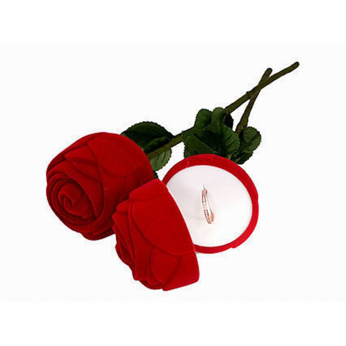 Ringetui in Rosen-Form – Rot
