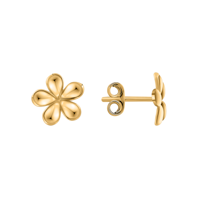 Ohrstecker aus Gelbgold 585