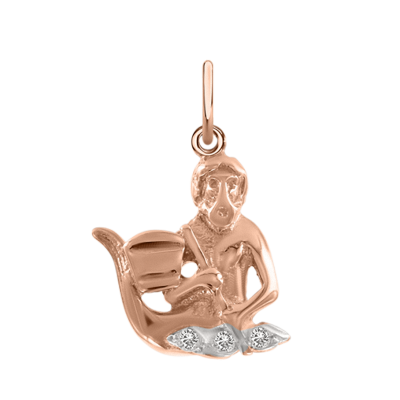 Anhänger Sternzeichen Wassermann aus Rotgold 585 mit Zirkonia