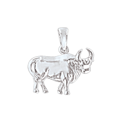 Sternzeichen Anhänger aus Silber 925
