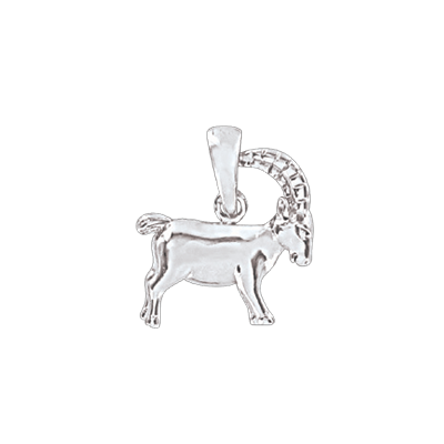 Sternzeichen Anhänger aus Silber 925