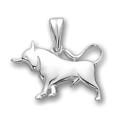 Sternzeichen Anhänger aus Silber 925